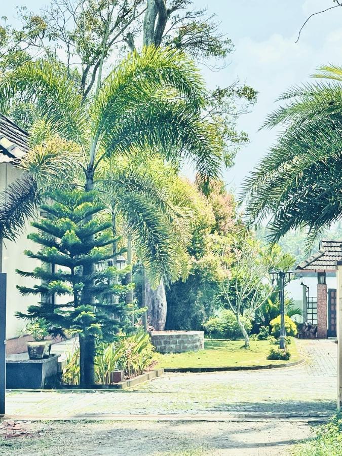 Cherai Lake Resort Cherai Beach Exterior photo